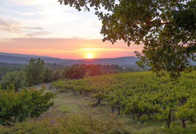 مبيت وإفطار La Couleur Des Vignes