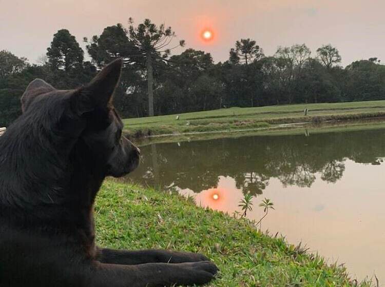 Boqueirão Hotel Fazenda