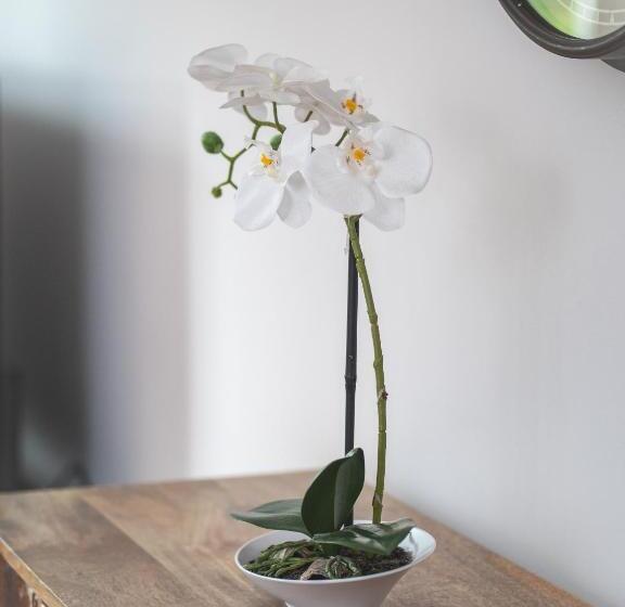 City Apartments Siegburg