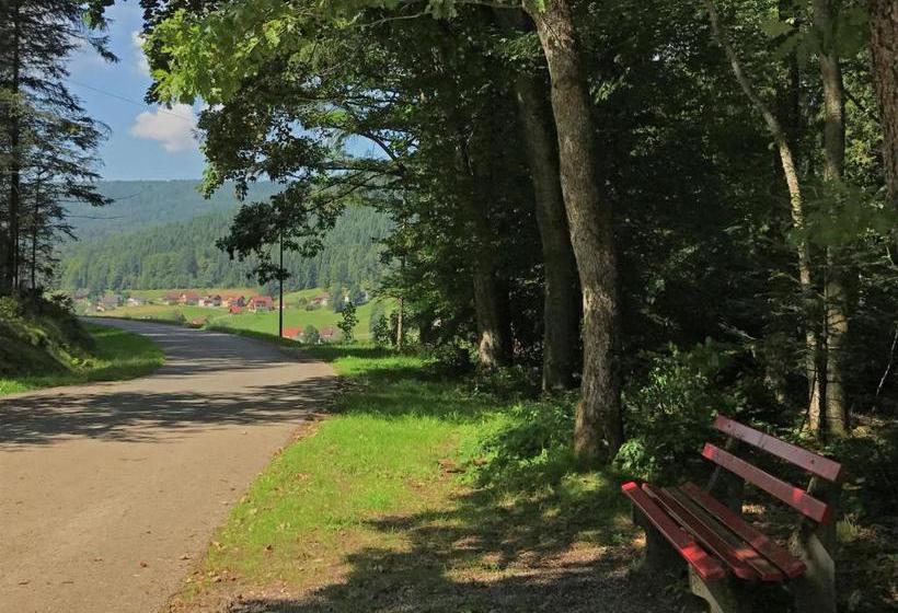 Cosy Apartment In Baiersbronn With Terrace And Garden