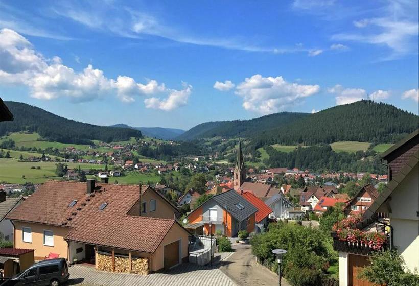 Cosy Apartment In Baiersbronn With Terrace And Garden