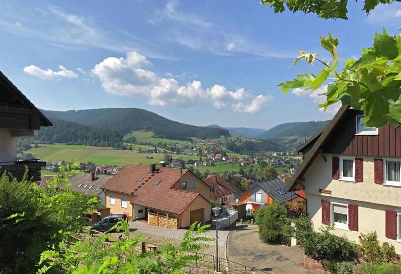 Cosy Apartment In Baiersbronn With Terrace And Garden