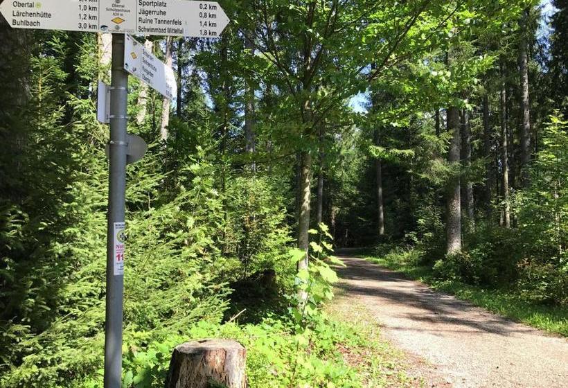 Cosy Apartment In Baiersbronn With Terrace And Garden