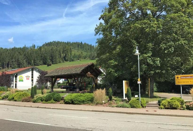 Cosy Apartment In Baiersbronn With Terrace And Garden