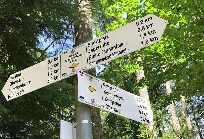 Cosy Apartment In Baiersbronn With Terrace And Garden