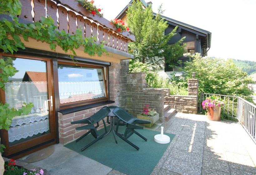 Cosy Apartment In Baiersbronn With Terrace And Garden