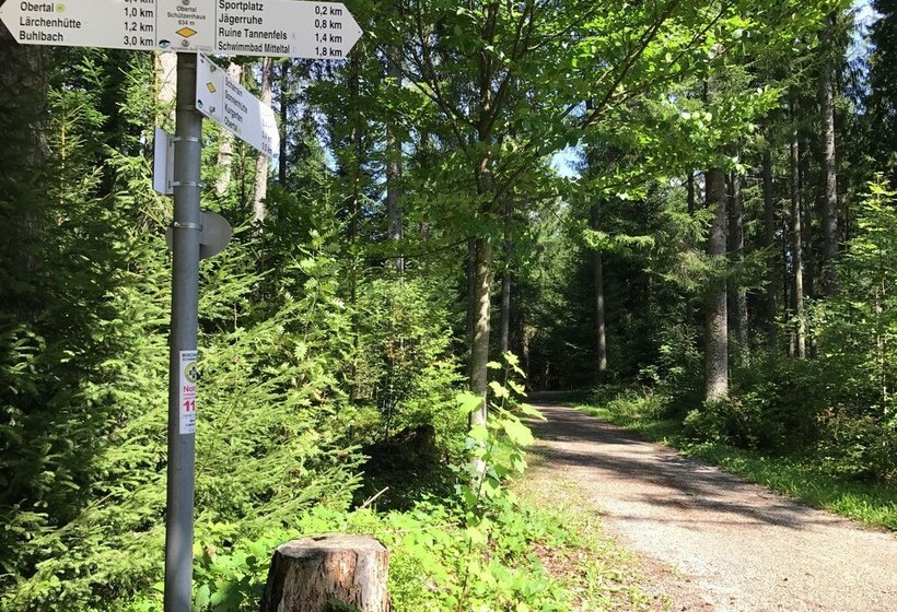 Cosy Apartment In Baiersbronn With Terrace And Garden