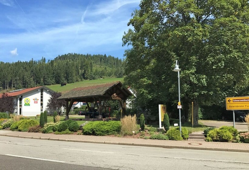 Cosy Apartment In Baiersbronn With Terrace And Garden