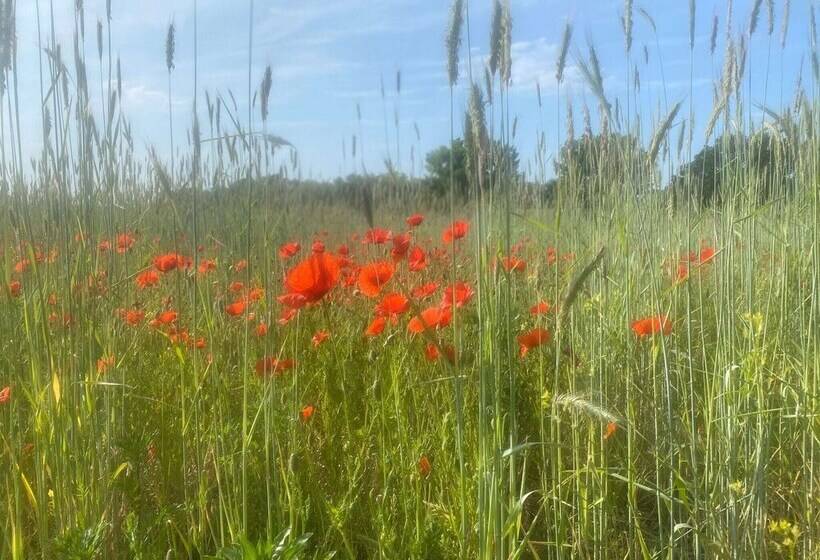 Cozy Bungalow In Werder With Garden