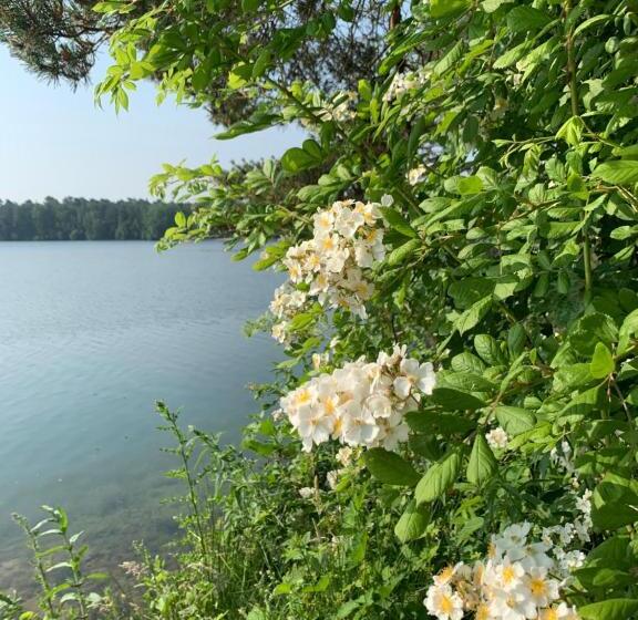 Gästewohnung Am See