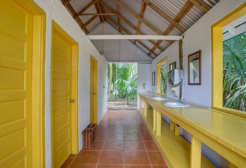 בית מלון כפרי Belize Rainforest Retreat At Chaa Creek