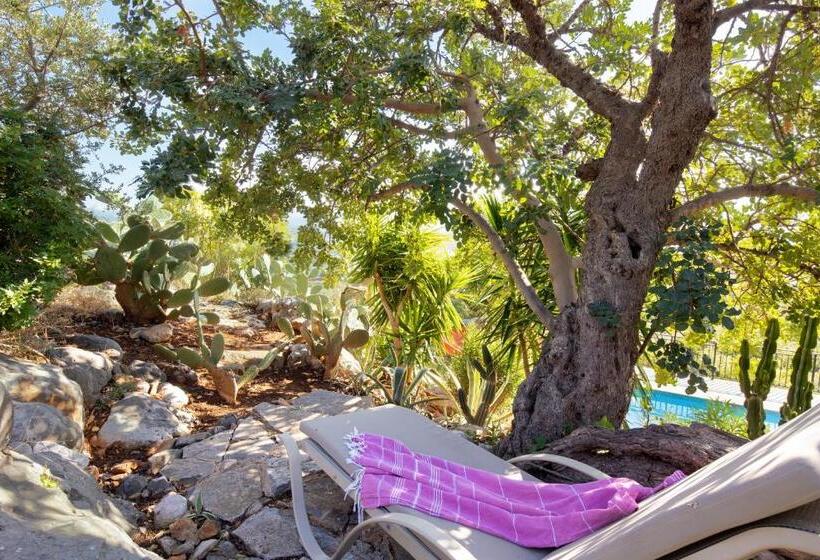 בית מלון כפרי Melidoni X Village