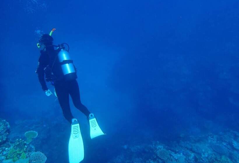 בית מלון כפרי Rest And Lodge Syou