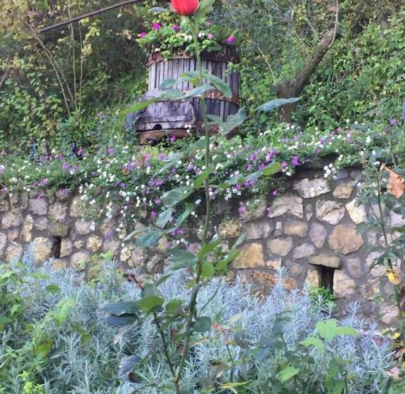 田舎風ホテル Il Casale Del Mirto