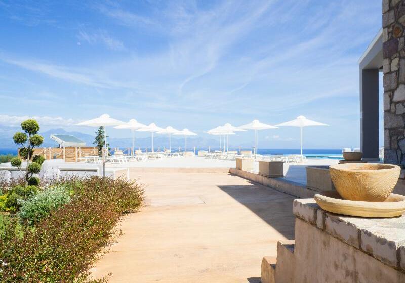 酒店 White Donkey Boutique