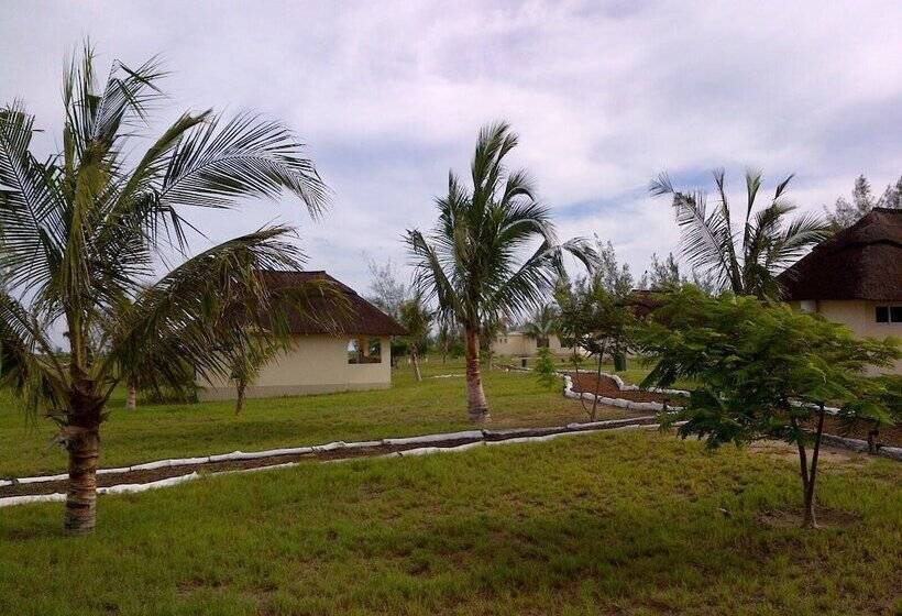 ホテル Zalala Beach Lodge