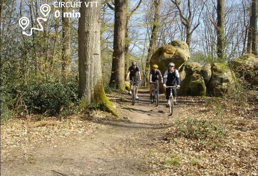 Kabanéo   Gîte Et Sauna  Samois Sur Seine   Forêt De Fontainebleau
