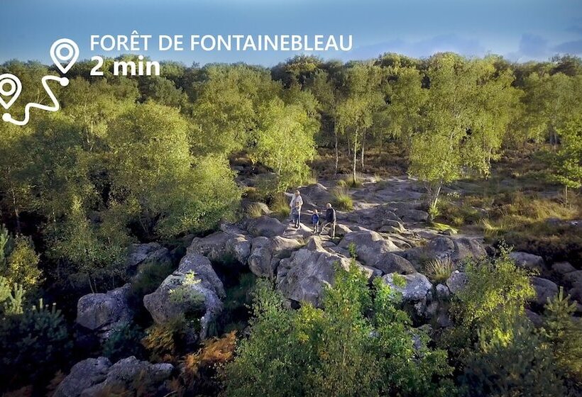 Kabanéo   Gîte Et Sauna  Samois Sur Seine   Forêt De Fontainebleau
