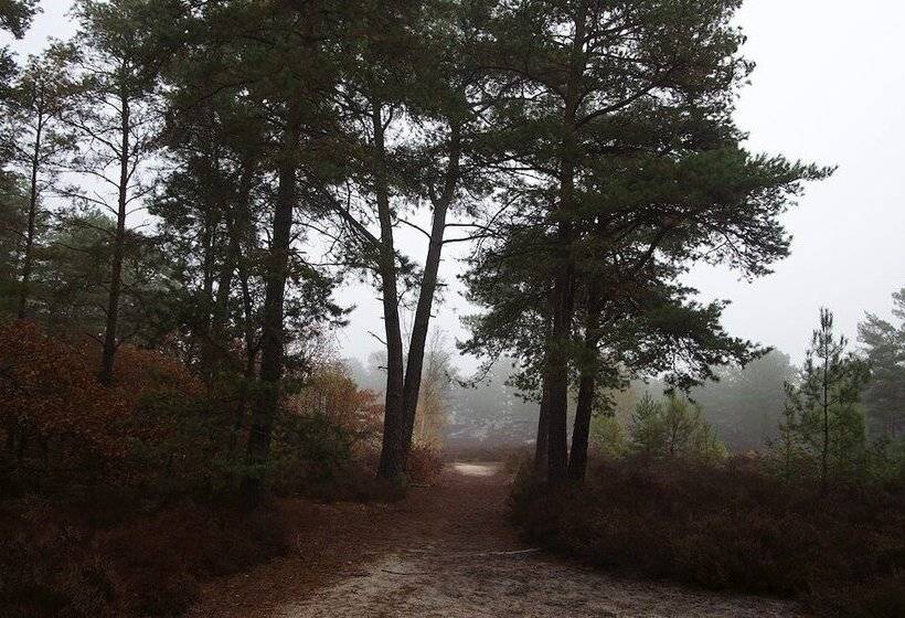 La Verriere Du Baron Greau