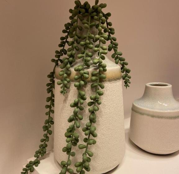 Le Mouton à 5 Pattes Aubagnecassisaix En Provence