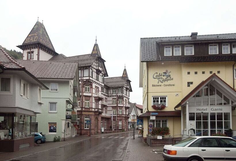 Modern Apartment In Bad Peterstal Griesbach With Vineyards