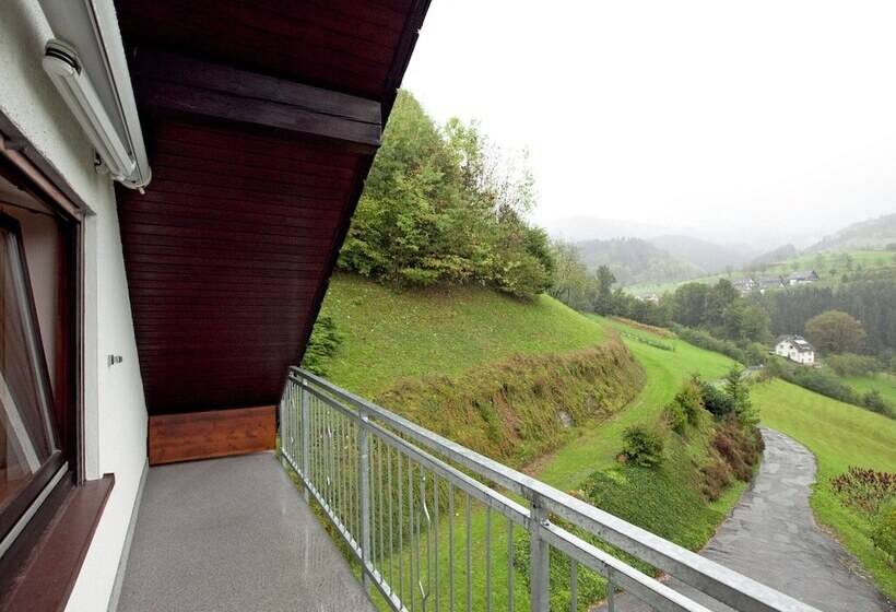 Modern Apartment In Bad Peterstal Griesbach With Vineyards
