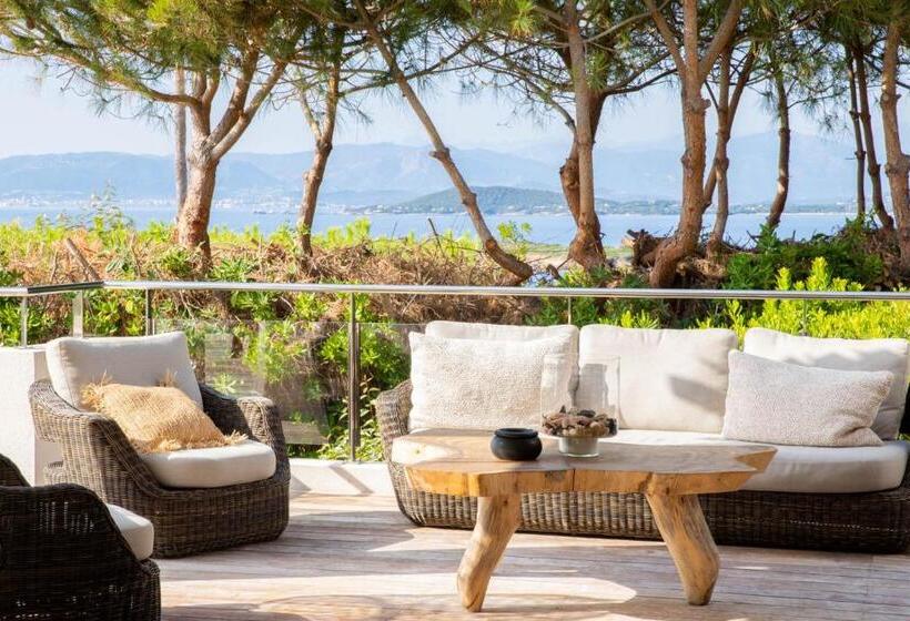 膳宿费 A Casa Nostra