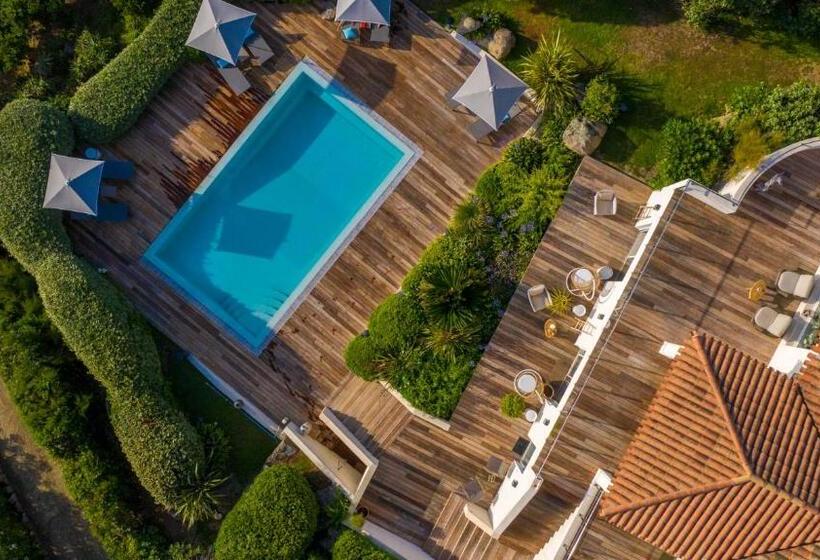 膳宿费 A Casa Nostra