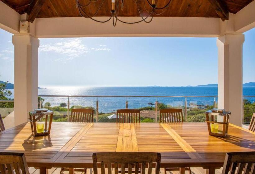 膳宿费 A Casa Nostra