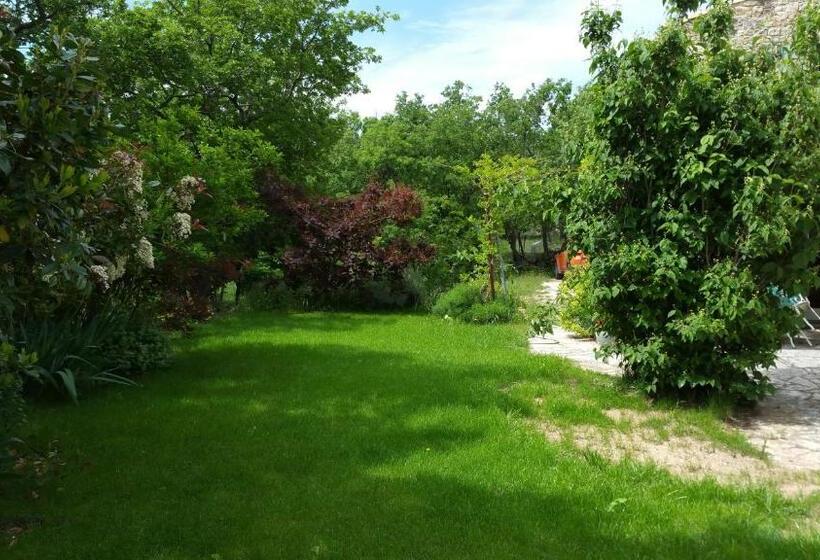 ペンション Coin Secret