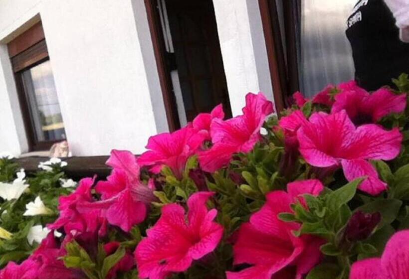 ペンション Guesthouse Magdalena