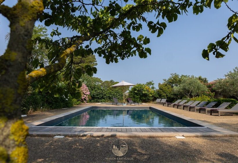 פנסיון La Maison Vigneronne