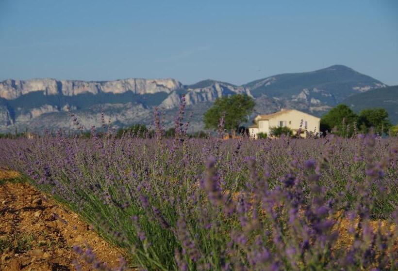 Пансион Lou Pèbre D Aï