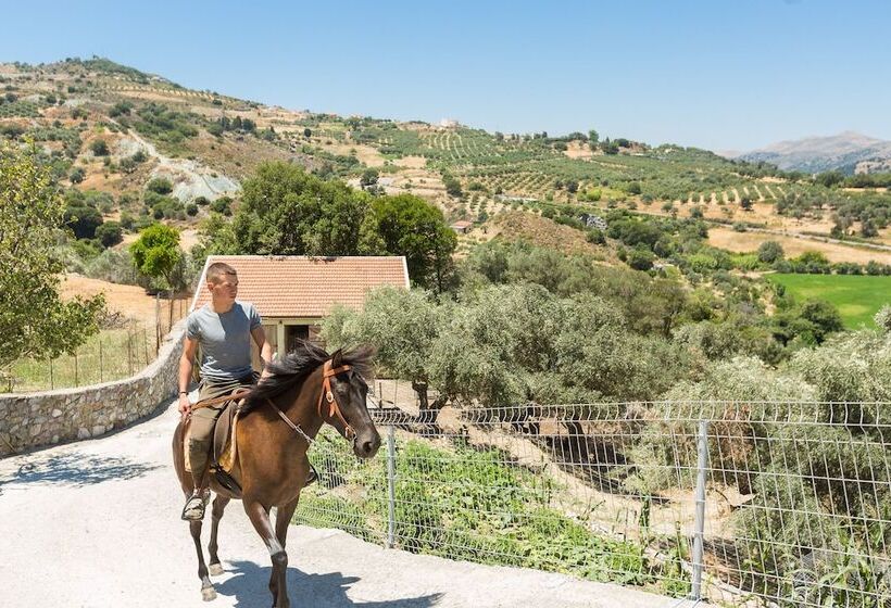 بنسيون Panorama Luxury Rooms