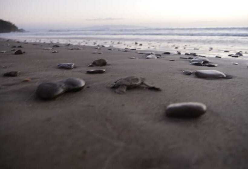 Verdad Nicaragua Beach Hotel & Retreat