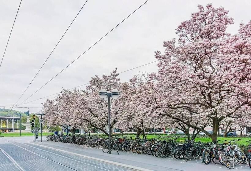Wohnen Am Bäckerbrunnen Semmelstraße