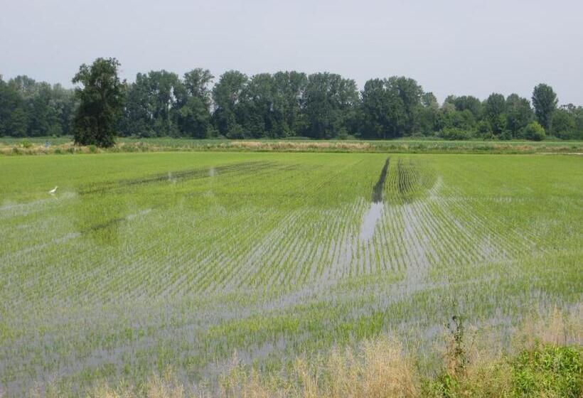 Agriturismo Le Risaie