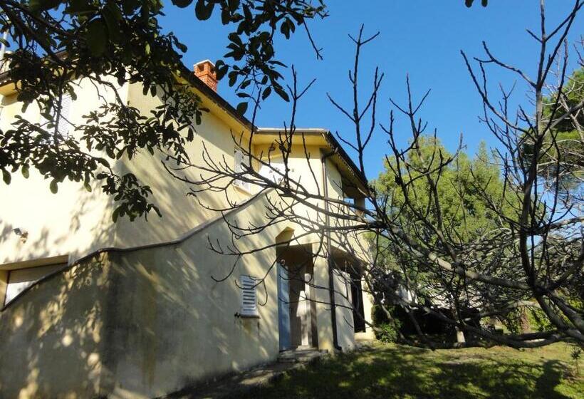 Apartment Bolko   Near The Beach