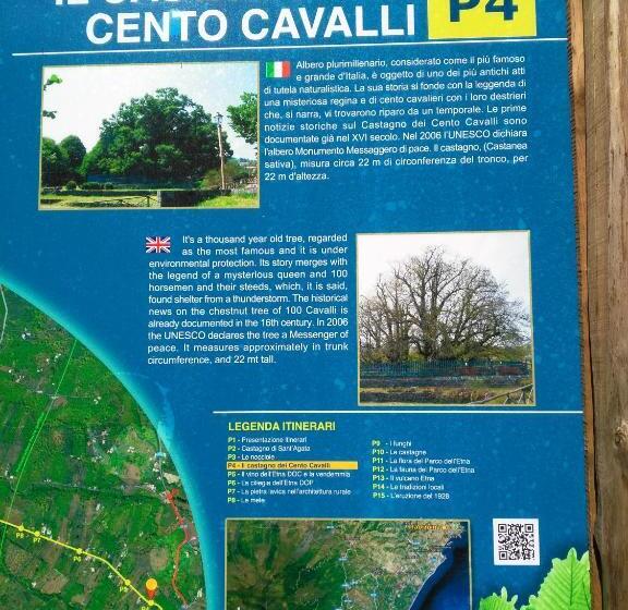 Cartoline Dall Etna B&b