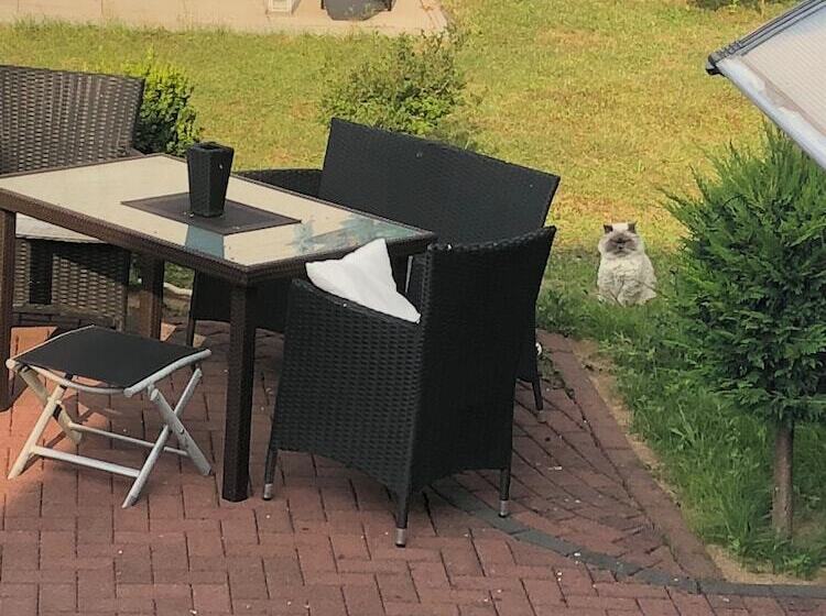 Ferienwohnung Zum Schlosspark Calden