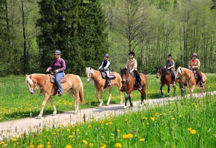 Ferienwohnungen Am Buchbrunnen