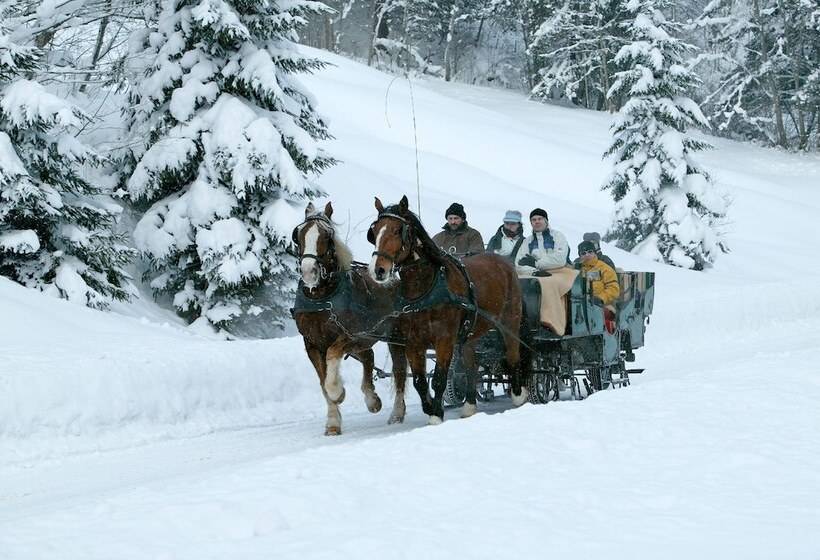 Ferienwohnungen Am Buchbrunnen