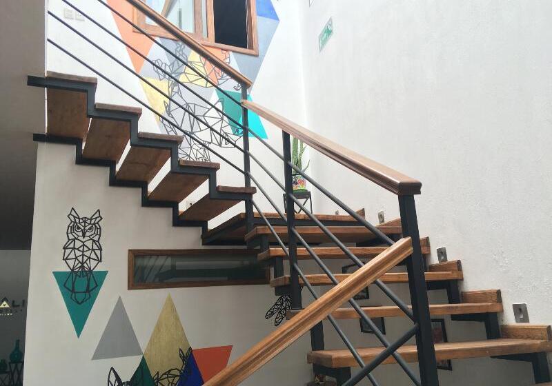 בית מלון כפרי Kali