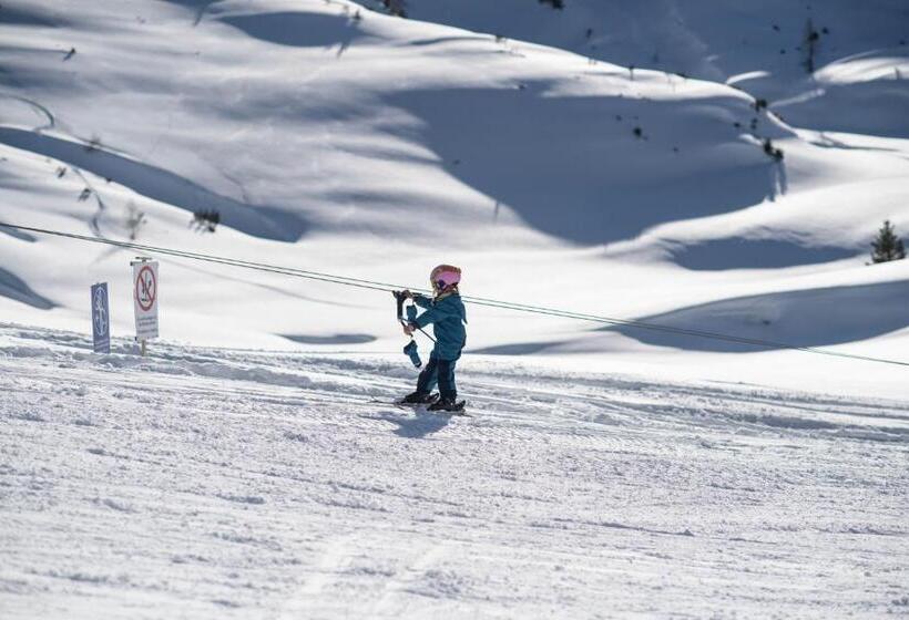 בית מלון כפרי Gjaid Alm 1739m Am Dachstein Only Accessible By Cable Car