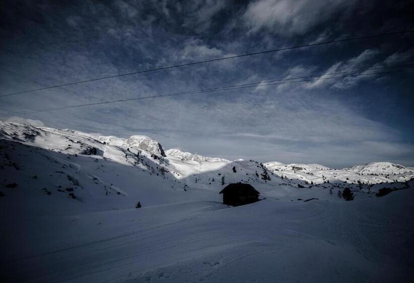 בית מלון כפרי Gjaid Alm 1739m Am Dachstein Only Accessible By Cable Car