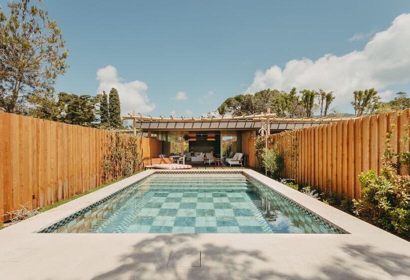 בית מלון כפרי Lily Of The Valley