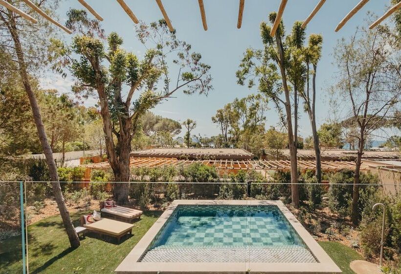 בית מלון כפרי Lily Of The Valley