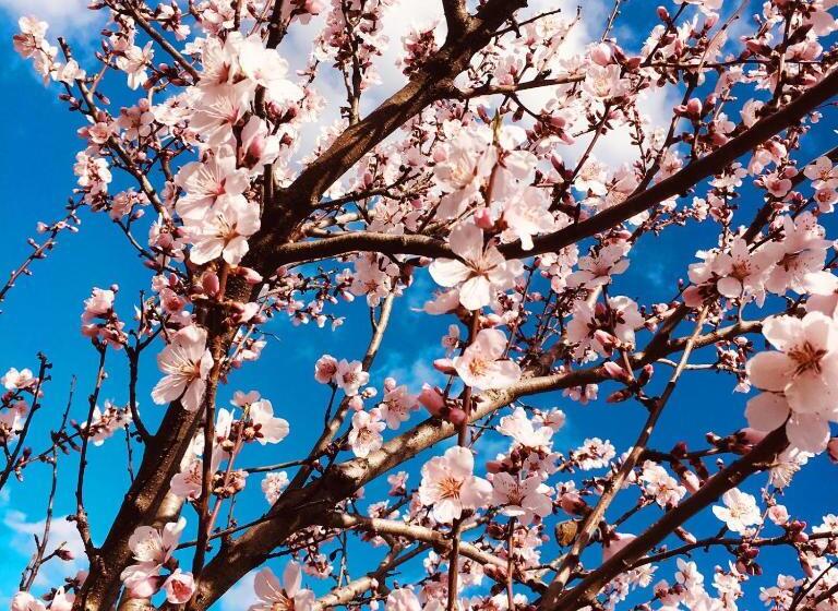 Отель Netts Landhaus