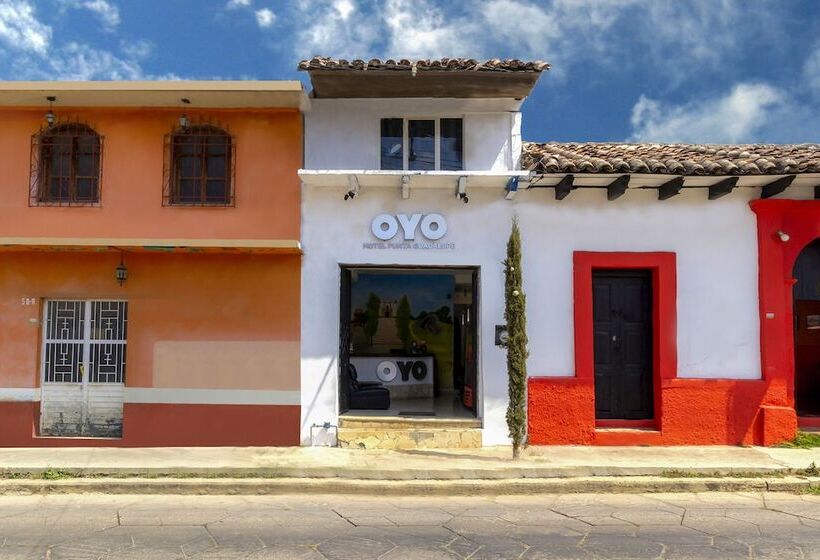 فندق Punta Guadalupe