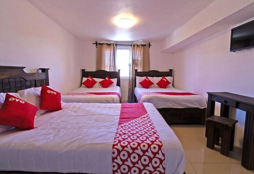 فندق Punta Guadalupe